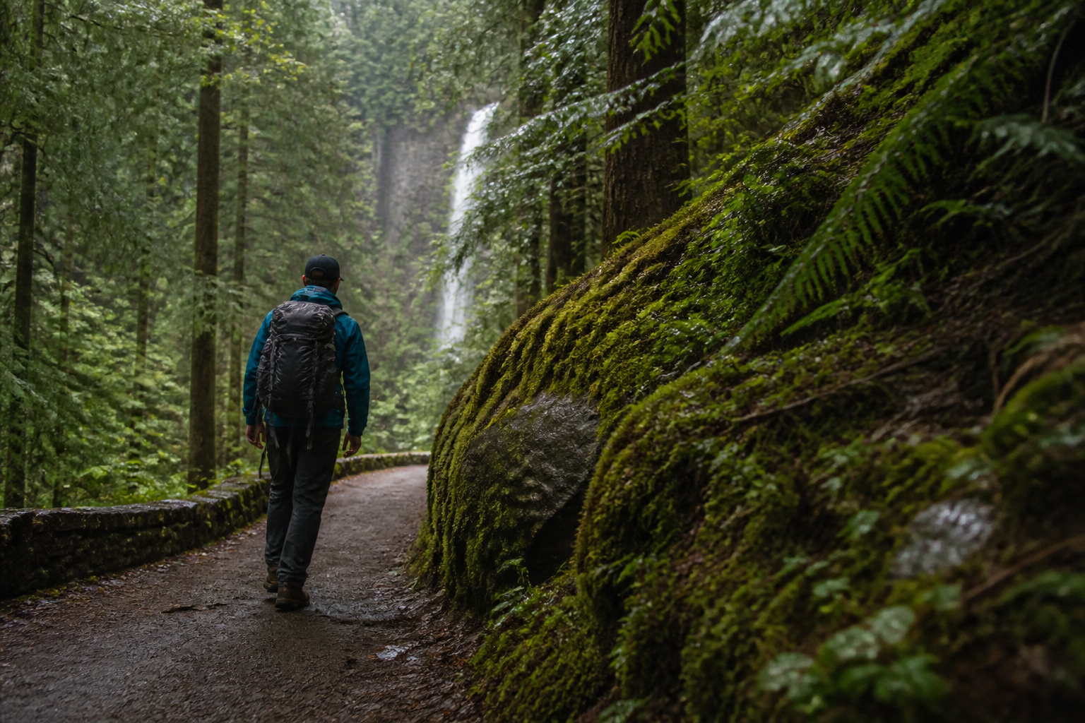 Morning metabolic wellness routine in soft PNW light