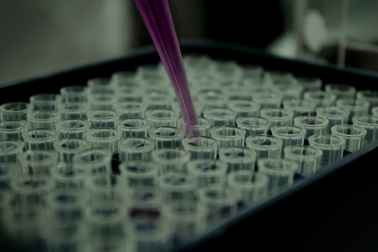 No invented compounds