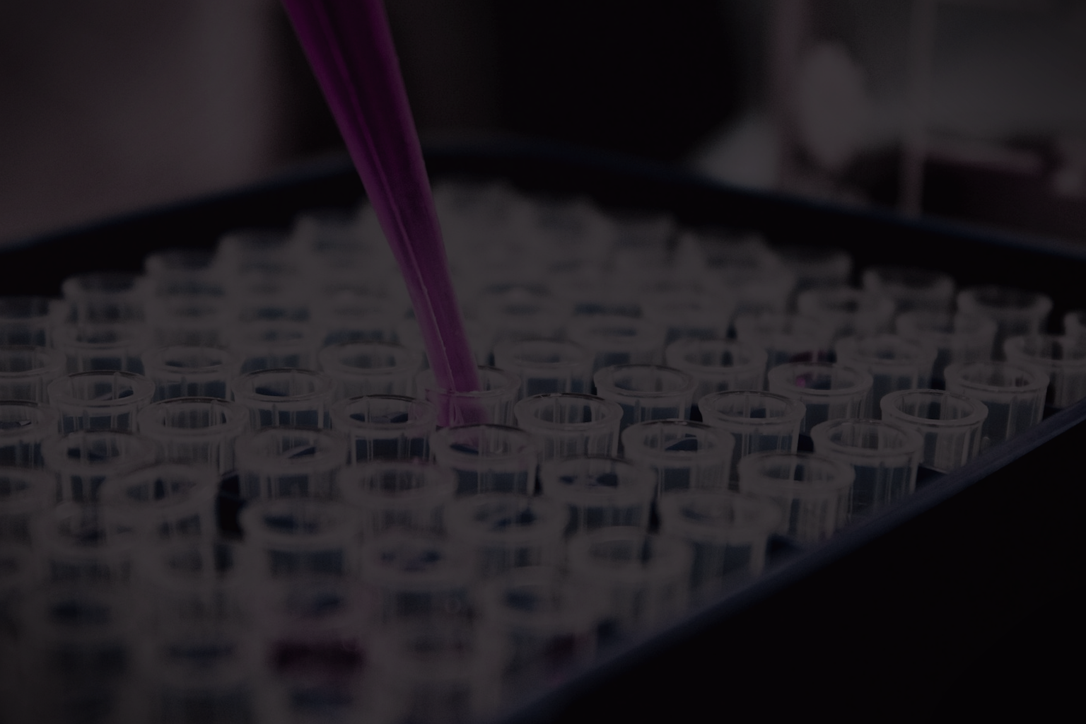 Peptide support